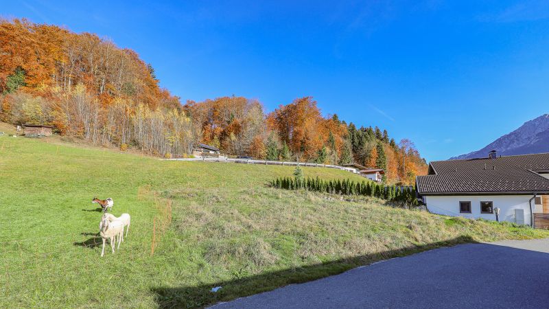 Sonniges Baugrundstück für Ihr neues Eigenheim / / 6342 Niederndorf / Bild 1