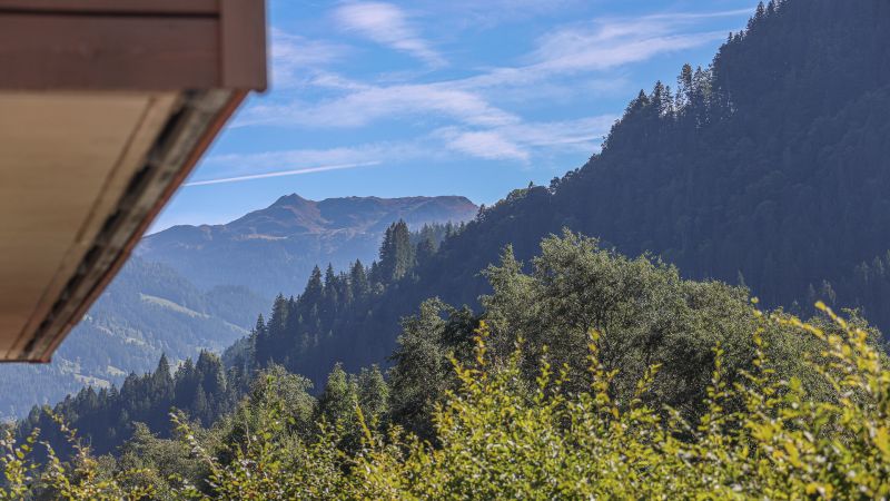 Neubauwohnung mit Kaiserblick / / 6370 Kitzbühel / Bild 8