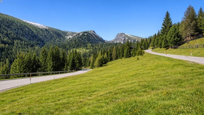 9 baugenehmigte Chalets mit Freizeitwohnsitzwidmung /  / 9564&nbsp;Falkertsee / Bild 7