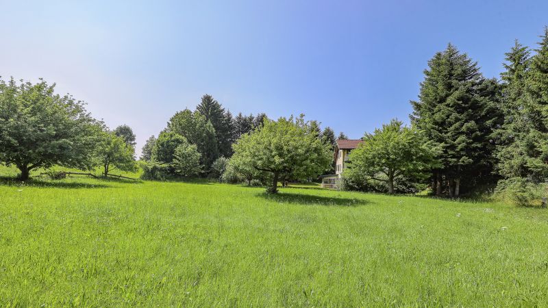 Idyllisches 3.491 m Freilandgrundstck mit Altbestand /  / 6300 Wrgl / Bild 4