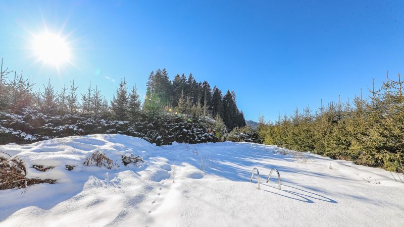 Grundst�ck mit Altbestand in sonniger Ruhelage /  / 6365&nbsp;Kirchberg in Tirol / Bild 7