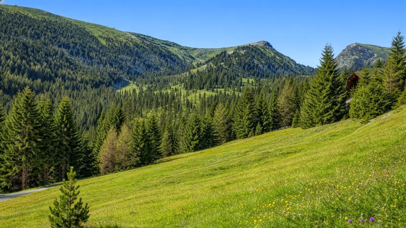 9 baugenehmigte Chalets mit Freizeitwohnsitzwidmung /  / 9564&nbsp;Falkertsee / Bild 8