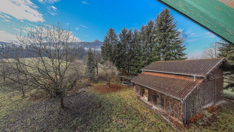 Idyllisches 3.491 m Freilandgrundstck mit Altbestand /  / 6300 Wrgl / Bild 8
