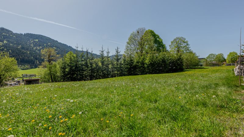 Baugrundstck in traumhafter Toplage mit Kaiserblick /  / 6353 Going am Wilden Kaiser / Bild 3