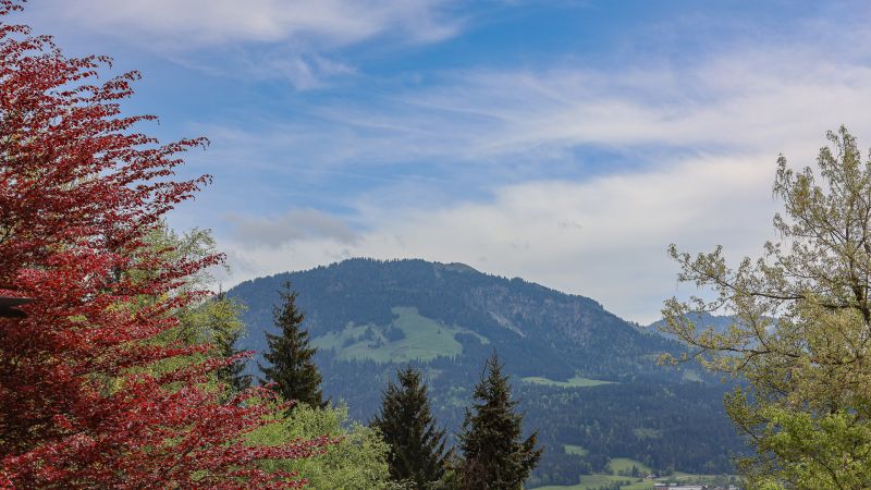 Riesiges Baugrundstck mit Altbestand in Toplage /  / 6380 St. Johann in Tirol / Bild 9