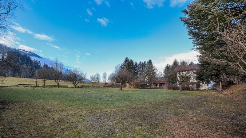 Idyllisches 3.491 m Freilandgrundstck mit Altbestand /  / 6300 Wrgl / Bild 6