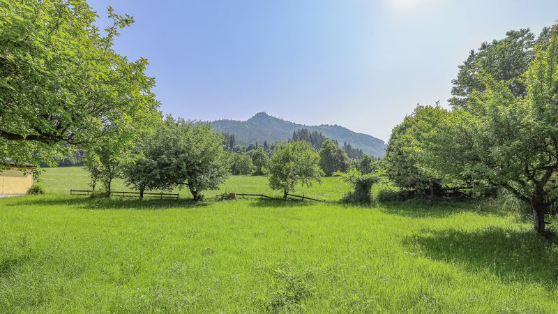Idyllisches 3.491 m Freilandgrundstck mit Altbestand /  / 6300 Wrgl / Bild 6