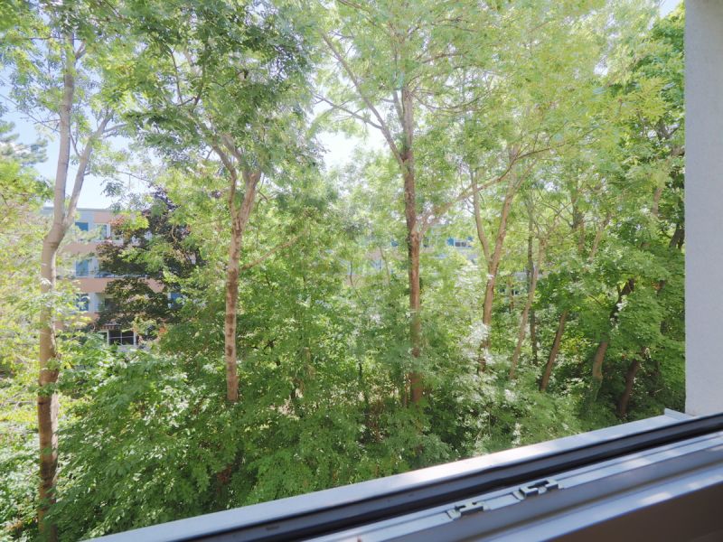Praktisch aufgeteilte 2-Zimmer-Wohnung mit Loggia in ruhiger Lage von Sdstadt/Maria Enzersdorf /  / 2344 Maria Enzersdorf / Sdstadt / Bild 9