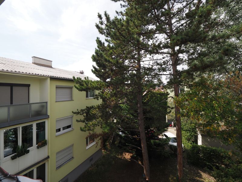 Sonnige Wohnung mit Loggia, Stellplatz & Gestaltungsfreiheit in Wiener Neudorf /  / 2351 Wiener Neudorf / Bild 1