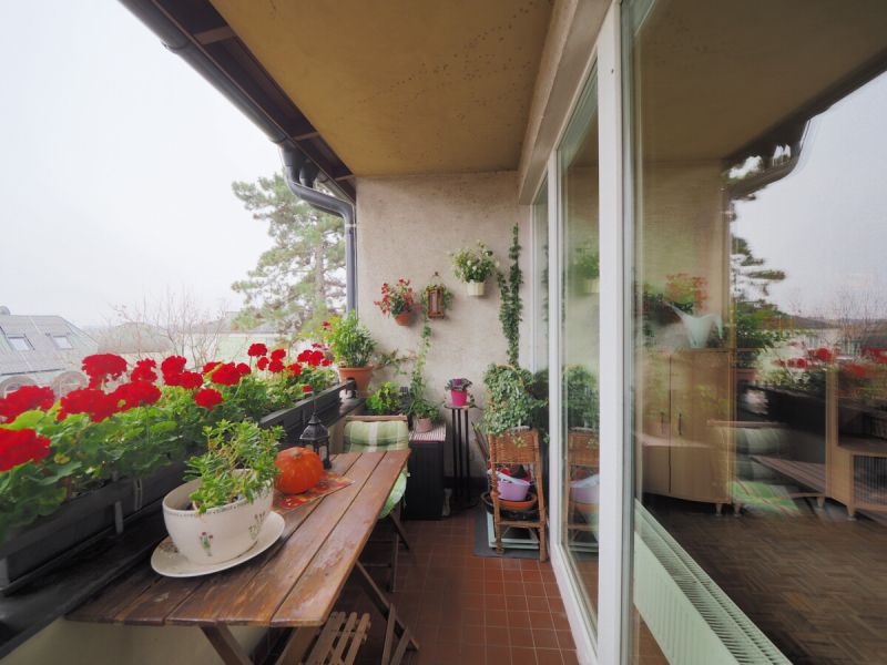 Gut geschnittene 3-Zimmer Wohnung in ruhiger Aussichtslage ? 95 m Nutzflche in Brunn am Gebirge! /  / 2345 Brunn am Gebirge / Bild 2