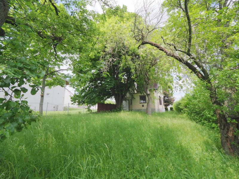 Prominente Villengegend mit gepflegter Nachbarschaft! Liegenschaft mit Altbestand und Wienblick /  / 2345 Brunn am Gebirge / Bild 3