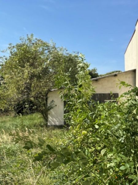 Ihr Bauplatz in Lassee ? Natur genießen, Stadtnähe nutzen / / 2291 Lassee / Bild 1