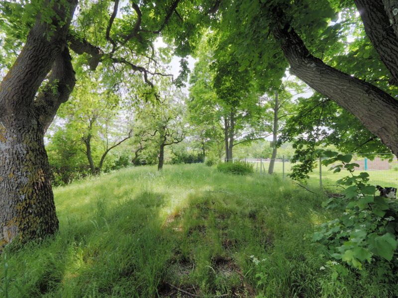 Prominente Villengegend mit gepflegter Nachbarschaft! Liegenschaft mit Altbestand und Wienblick /  / 2345 Brunn am Gebirge / Bild 1