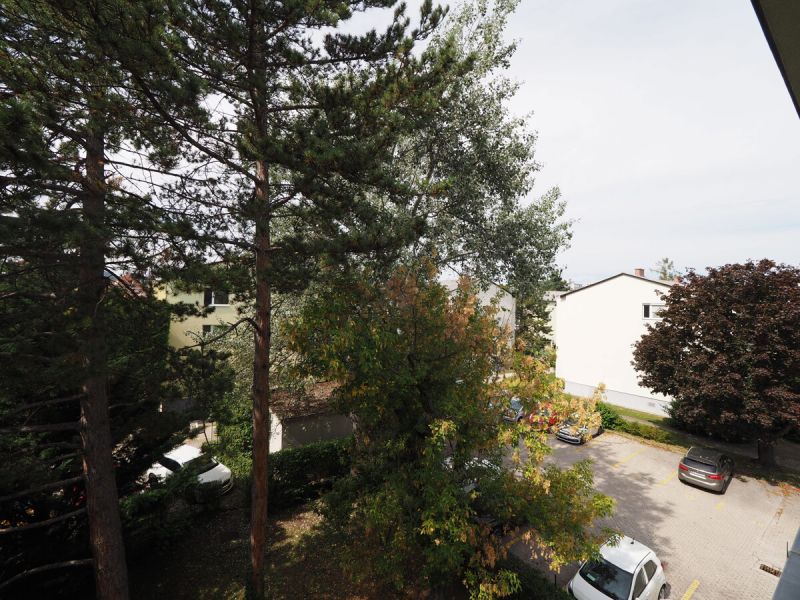 Sonnige Wohnung mit Loggia, Stellplatz & Gestaltungsfreiheit in Wiener Neudorf /  / 2351 Wiener Neudorf / Bild 4