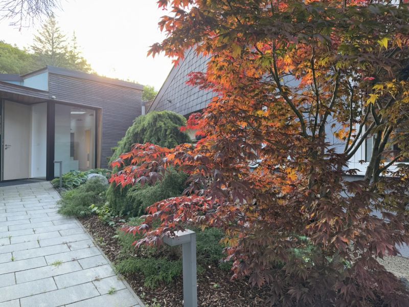 Wo sich leben und arbeiten gut anfhlen! 
Villa und Nebenhaus in Giehbl!
Wohn- und Firmensitz /  / 2372 Giehbl / Bild 13