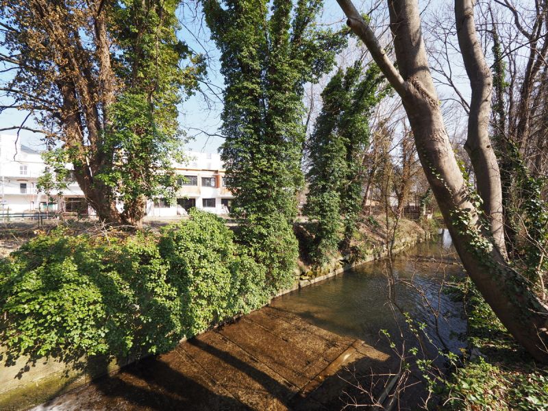 Bach- und Parkblick - ruhiger Rckzugsort abseits der Straen! Ebenfurth - Reihenhuser! /  / 2490 Ebenfurth / Bild 3