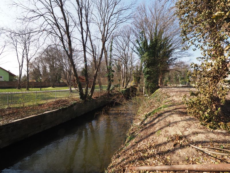 Bach- und Parkblick - ruhiger Rckzugsort abseits der Straen! Ebenfurth - Reihenhuser! /  / 2490 Ebenfurth / Bild 4
