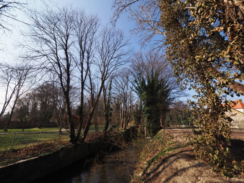 Bach- und Parkblick - ruhiger Rckzugsort abseits der Straen! Ebenfurth - Reihenhuser! /  / 2490 Ebenfurth / Bild 5