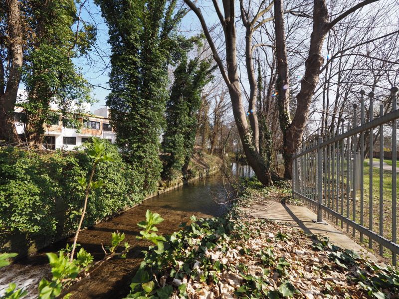 Bach- und Parkblick - ruhiger Rckzugsort abseits der Straen! Ebenfurth - Reihenhuser! /  / 2490 Ebenfurth / Bild 7