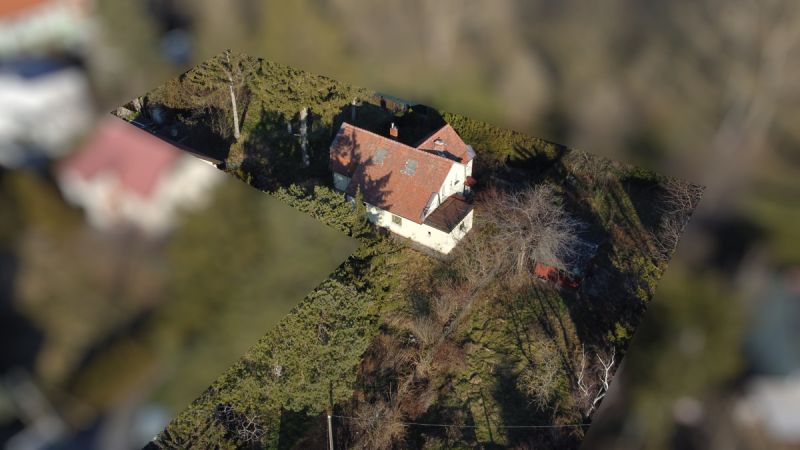 Top Ruhelage im Grnen 21. Bezirk /  / 1210 Wien / Bild 3
