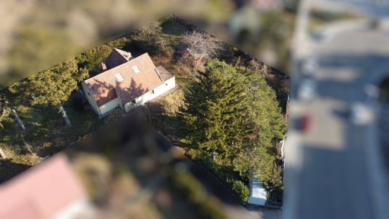 Top Ruhelage im Grnen 21. Bezirk /  / 1210 Wien / Bild 4