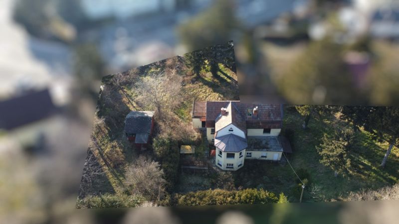 Top Ruhelage im Grnen 21. Bezirk /  / 1210 Wien / Bild 5