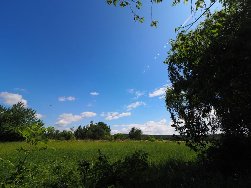 Ein Zuhause in Ruhelage mit Charakter, Gartenparadies und vielen Mglichkeiten - Berndorf, Baden /  / 2560 Berndorf / Bild 9