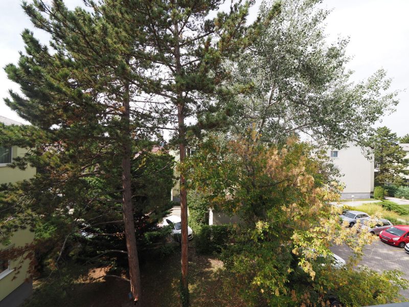 Ideal f�r Eigennutzer und Anleger: Klar geschnittene Wohnung mit Loggia & Stellplatz in Wr. Neudorf /  / 2351&nbsp;Wiener Neudorf / Bild 3