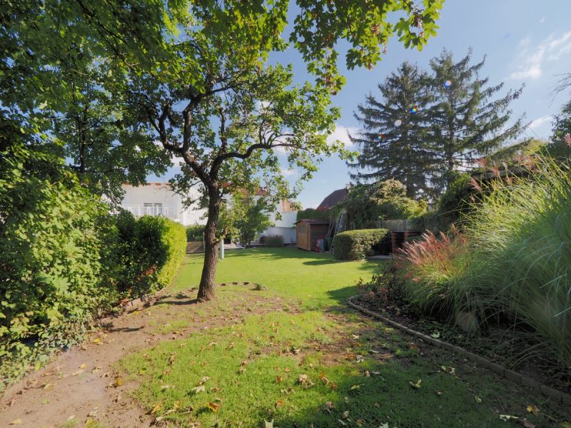 Familienfreundliches Haus mit Garten, unverbaubarem Gr�nblick & Garage, Brunn am Gebirge, N�he Wien! /  / 2345&nbsp;Brunn am Gebirge / Bild 11