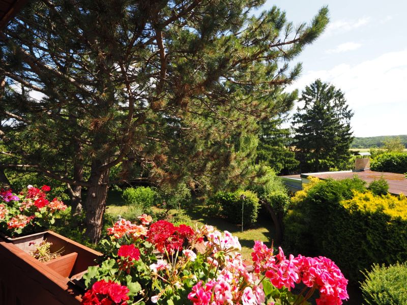 150 m� Einfamilienhaus mit Pool, gro�em Grundst�ck & Ruhelage ? Berndorf bei Baden