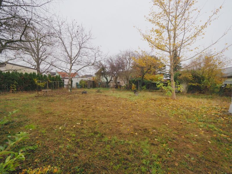 Zeitloses Einfamilienhaus (sanierungsbed�rftig) auf gro�em Grundst�ck in Baden bei Wien /  / 2500&nbsp;Baden / Bild 3