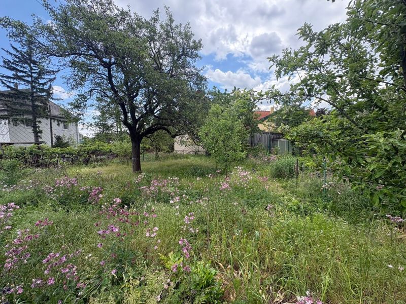 Optimale Verbaubarkeit auf 610 m² in Top Lage von Brunn am Gebirge! / / 2345 Brunn am Gebirge / Bild 3