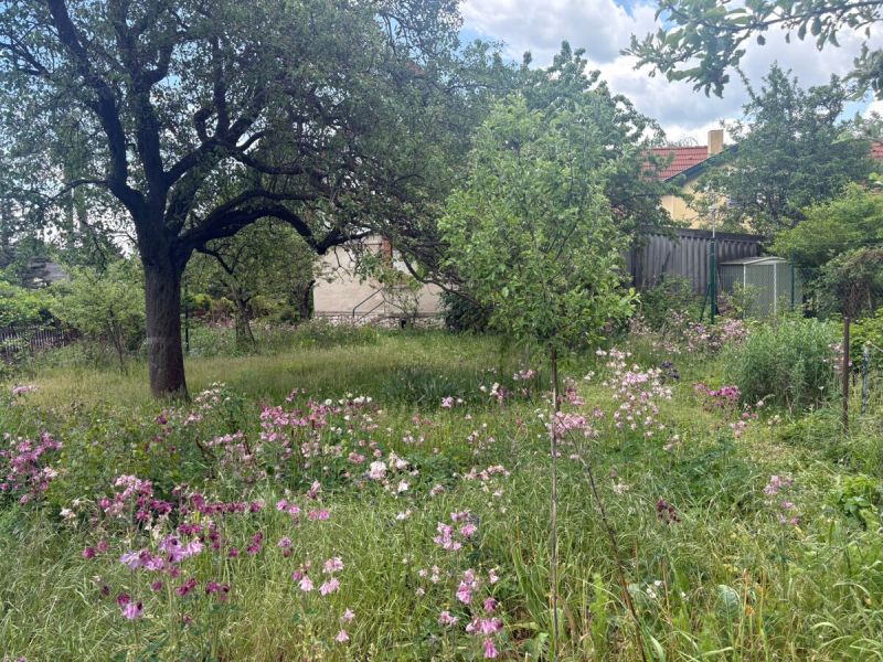 Optimale Verbaubarkeit auf 610 m² in Top Lage von Brunn am Gebirge! / / 2345 Brunn am Gebirge / Bild 4