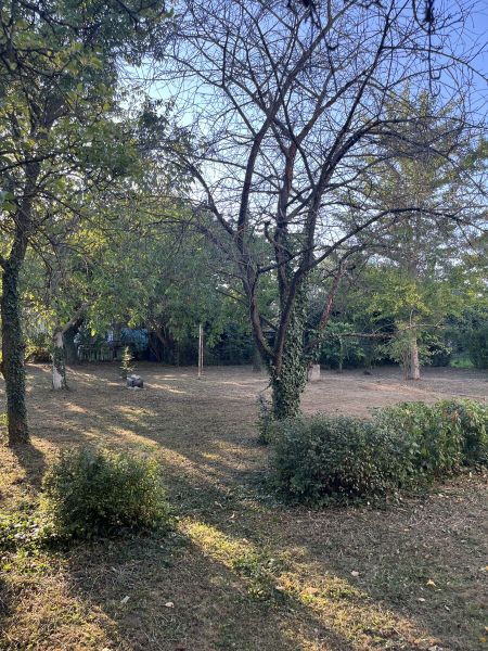 Großes Grundstück in Baden bei Wien - beste Voraussetzungen für Ihr Bauprojekt! / / 2500 Baden / Bild 4