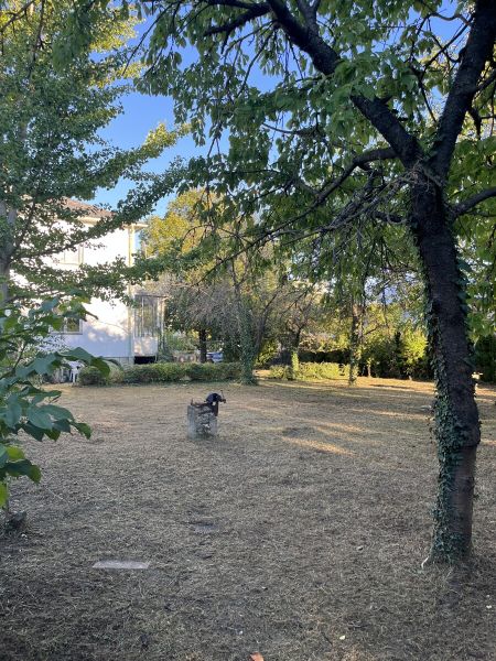 Großes Grundstück in Baden bei Wien - beste Voraussetzungen für Ihr Bauprojekt! / / 2500 Baden / Bild 6