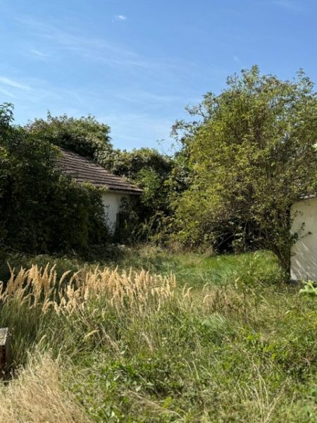 Ihr Bauplatz in Lassee ? Natur genießen, Stadtnähe nutzen / / 2291 Lassee / Bild 0