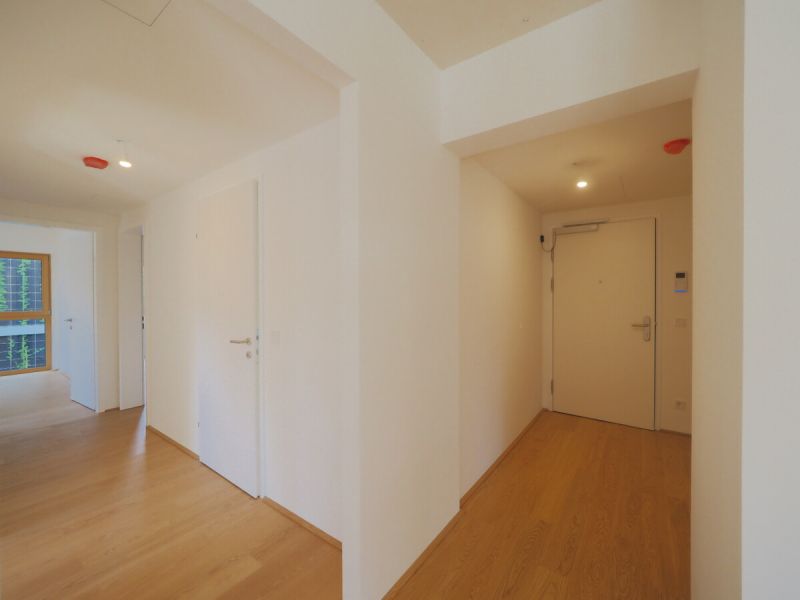 Vier R�ume. Unz�hlige M�glichkeiten. Provisionsfreie Vergabe! /  / 2340&nbsp;M�dling / Bild 5