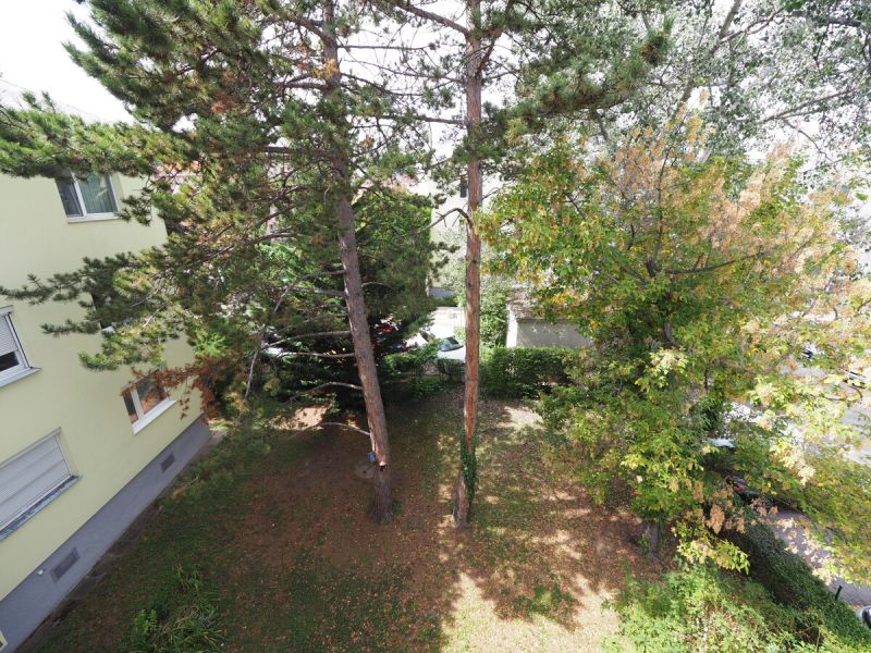 Sonnige Wohnung mit Loggia, Stellplatz & Gestaltungsfreiheit in Wiener Neudorf /  / 2351 Wiener Neudorf / Bild 2