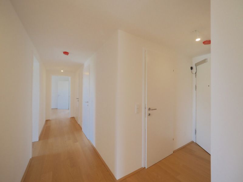 Vier Räume. Unzählige Möglichkeiten. Provisionsfreie Vergabe! / / 2340 Mödling / Bild 1
