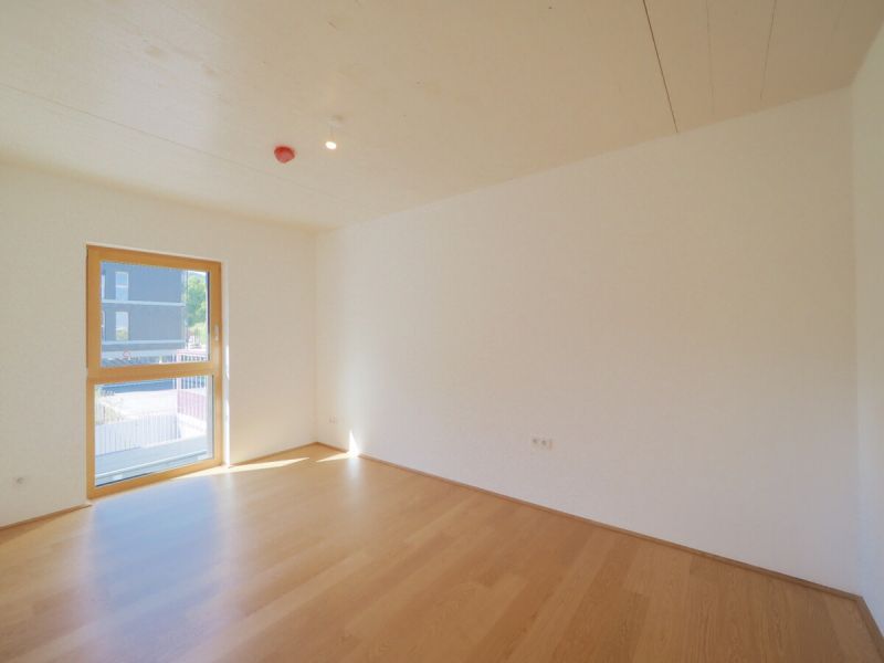 Vier R�ume. Unz�hlige M�glichkeiten. Provisionsfreie Vergabe! /  / 2340&nbsp;M�dling / Bild 7