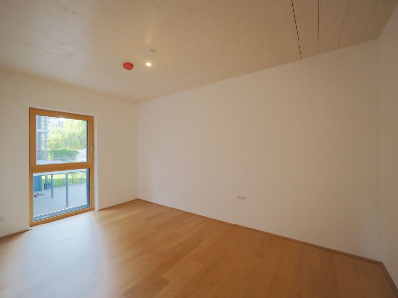 Vier R�ume. Unz�hlige M�glichkeiten. Provisionsfreie Vergabe! /  / 2340&nbsp;M�dling / Bild 8