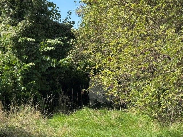 Ihr Bauplatz in Lassee ? Natur genießen, Stadtnähe nutzen / / 2291 Lassee / Bild 3