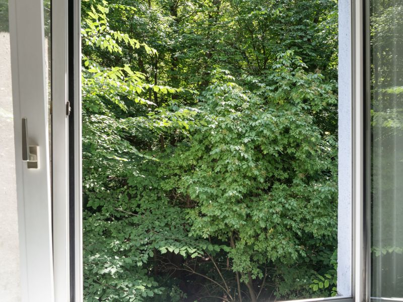 Wohnen mit Blick ins Grne ? Charmante 2-Zimmer-Wohnung in ruhiger Waldlage in Kaltenleutgeben /  / 2391 Kaltenleutgeben / Bild 1