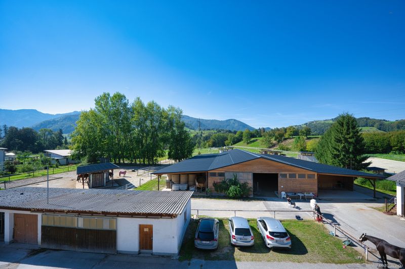 Reiterhof. Vierkanter. Wirtshaus. Zimmervermietung. Wohnungen. Natur. /  / 4452 Ternberg / Bild 7