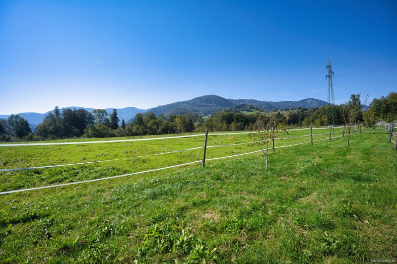 Reiterhof. Vierkanter. Wirtshaus. Zimmervermietung. Wohnungen. Natur. /  / 4452 Ternberg / Bild 10