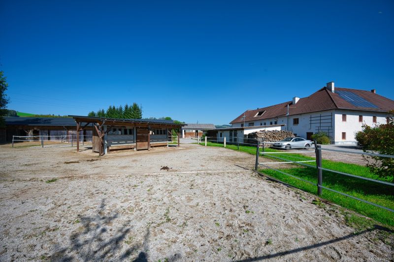 Reiterhof. Vierkanter. Wirtshaus. Zimmervermietung. Wohnungen. Natur. /  / 4452 Ternberg / Bild 1