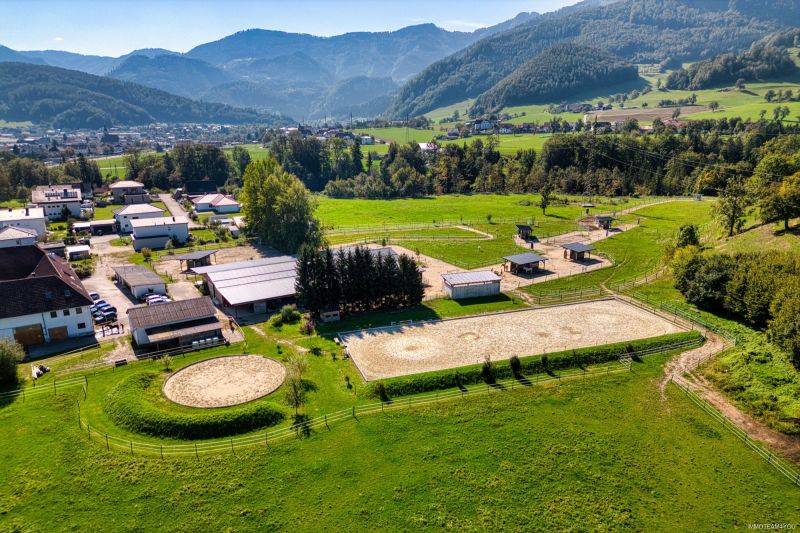 Reiterhof. Vierkanter. Wirtshaus. Zimmervermietung. Wohnungen. Natur. /  / 4452 Ternberg / Bild 3