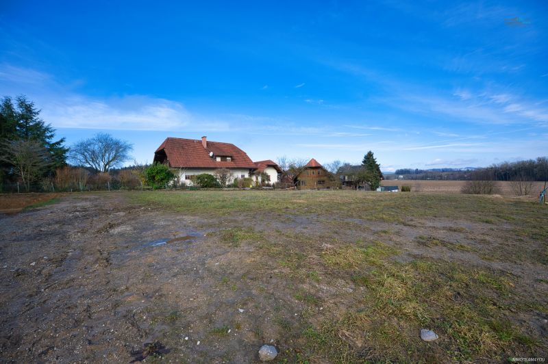 Perfektes Grundstck - am Land aber doch nicht weit von der Stadt /  / 4840 Pilsbach / Bild 5