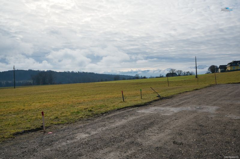 Perfektes Grundstck - am Land aber doch nicht weit von der Stadt /  / 4840 Pilsbach / Bild 6