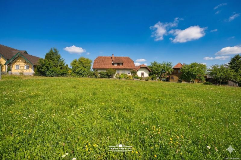 Perfektes Grundstück - am Land aber doch nicht weit von der Stadt / / 4840 Pilsbach / Bild 2